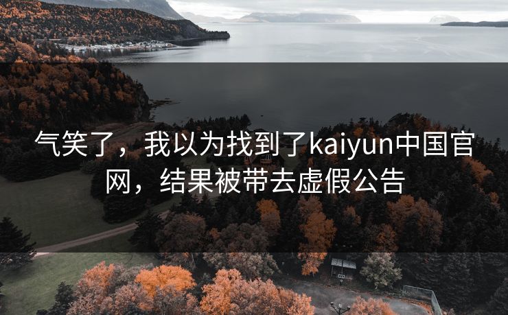 气笑了，我以为找到了kaiyun中国官网，结果被带去虚假公告